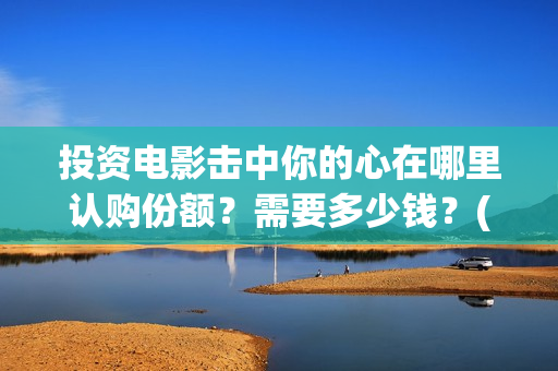 投资电影击中你的心在哪里认购份额？需要多少钱？(电影投资成功案例)