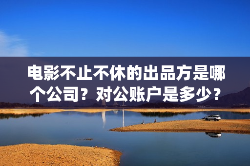 电影不止不休的出品方是哪个公司？对公账户是多少？(不止不休 mp4)