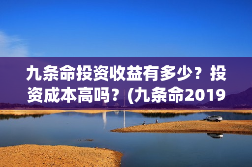 九条命投资收益有多少？投资成本高吗？(九条命2019)