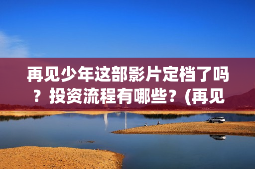 再见少年这部影片定档了吗？投资流程有哪些？(再见少年这部电影讲的是什么)