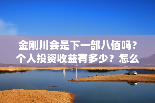 金刚川会是下一部八佰吗？个人投资收益有多少？怎么参与投资？成本多少？ (金刚川合理吗)