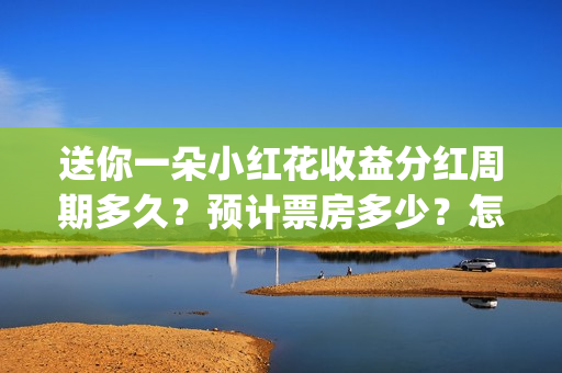 送你一朵小红花收益分红周期多久？预计票房多少？怎么投资吗？(送你一朵小红花电影剧情介绍)