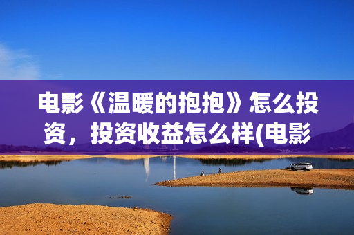 电影《温暖的抱抱》怎么投资，投资收益怎么样(电影《温暖的抱抱》下载)