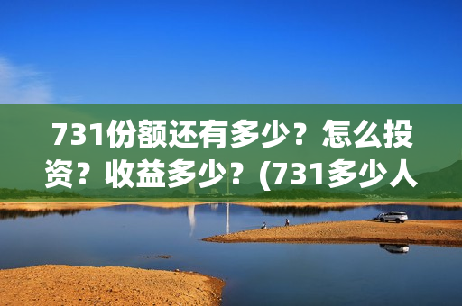 731份额还有多少？怎么投资？收益多少？(731多少人)