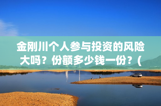 金刚川个人参与投资的风险大吗？份额多少钱一份？(金刚川专访)