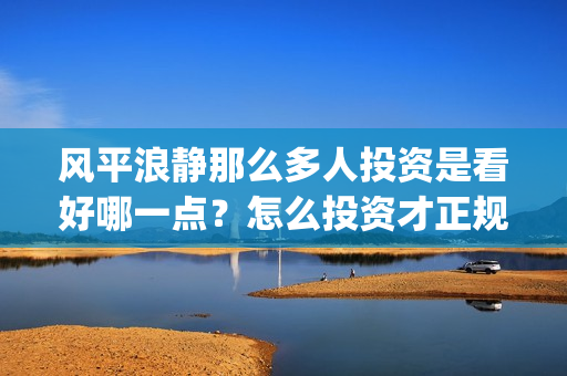 风平浪静那么多人投资是看好哪一点？怎么投资才正规？(风平浪静的时候是哪首歌)