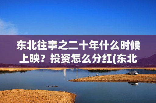 东北往事之二十年什么时候上映？投资怎么分红(东北往事之二十年上映了吗)