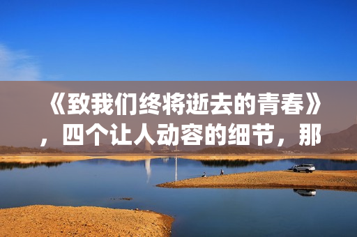 《致我们终将逝去的青春》，四个让人动容的细节，那是你的青春吗(致我们终将逝去的青春小说免费阅读)
