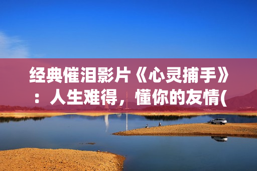 经典催泪影片《心灵捕手》：人生难得，懂你的友情(重磅催泪电影)
