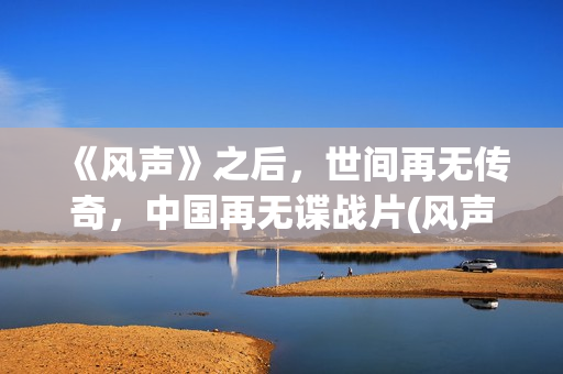 《风声》之后，世间再无传奇，中国再无谍战片(风声最后一句话)