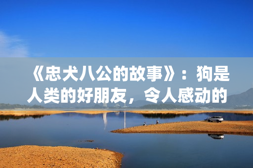 《忠犬八公的故事》：狗是人类的好朋友，令人感动的真实故事(忠犬八公的故事简介)