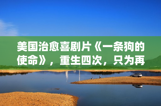 美国治愈喜剧片《一条狗的使命》，重生四次，只为再次遇见你！(必看美国喜剧)