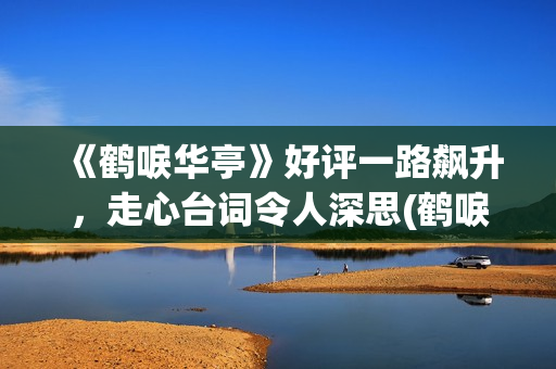 《鹤唳华亭》好评一路飙升，走心台词令人深思(鹤唳华亭说的什么)