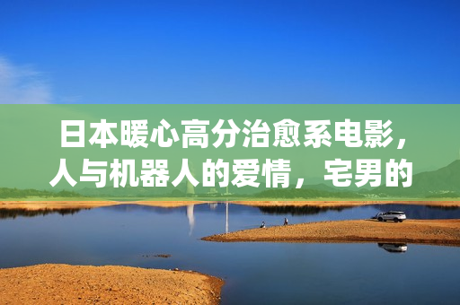 日本暖心高分治愈系电影，人与机器人的爱情，宅男的理想型女友(日本电影温馨治愈)