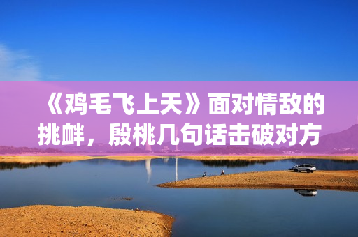 《鸡毛飞上天》面对情敌的挑衅，殷桃几句话击破对方(鸡毛飞上天剧情介绍)