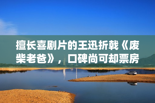 擅长喜剧片的王迅折戟《废柴老爸》，口碑尚可却票房惨淡(擅长喜剧片的王子叫什么)