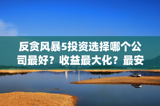 反贪风暴5投资选择哪个公司最好？收益最大化？最安全？(反贪风暴5份额)