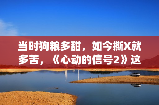 当时狗粮多甜，如今撕X就多苦，《心动的信号2》这一对“太难了”(狗粮时刻)