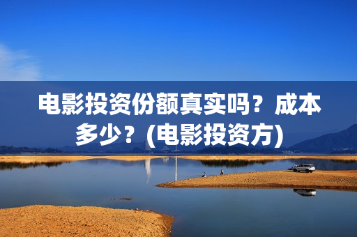 电影投资份额真实吗？成本多少？(电影投资方)