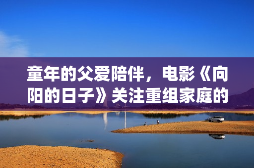 童年的父爱陪伴，电影《向阳的日子》关注重组家庭的亲子教育(童年的父爱陪伴图片)