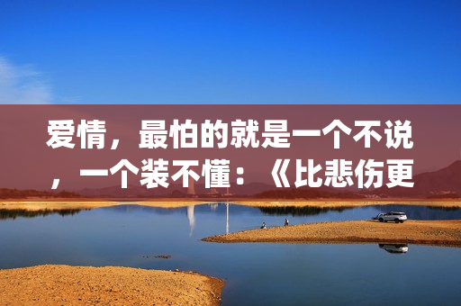 爱情，最怕的就是一个不说，一个装不懂：《比悲伤更悲伤的故事》(感情中最怕的就是)