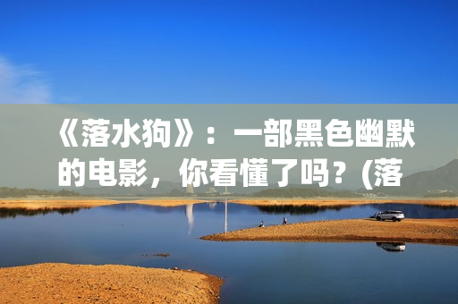 《落水狗》：一部黑色幽默的电影，你看懂了吗？(落水狗下一句是什么)