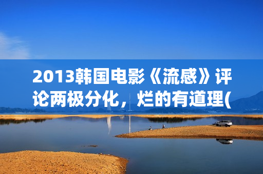2013韩国电影《流感》评论两极分化，烂的有道理(韩国电影2011年)