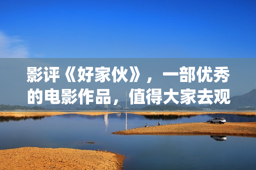 影评《好家伙》，一部优秀的电影作品，值得大家去观看！(影评《好家伙》在线观看)