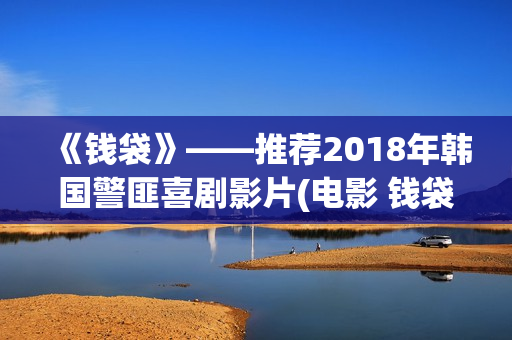 《钱袋》——推荐2018年韩国警匪喜剧影片(电影 钱袋)