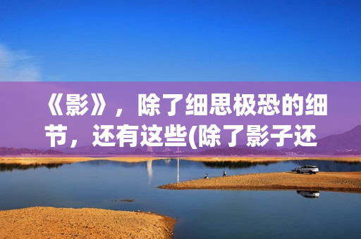 《影》，除了细思极恐的细节，还有这些(除了影子还有什么会对你不离不弃)