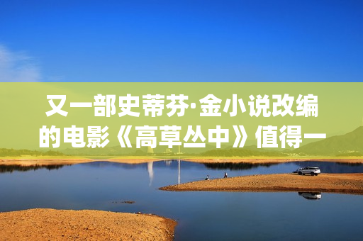 又一部史蒂芬·金小说改编的电影《高草丛中》值得一看(史蒂芬ricci)