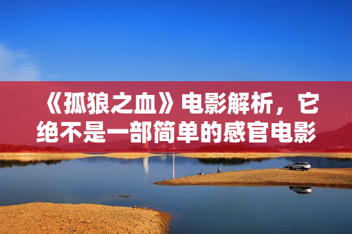 《孤狼之血》电影解析，它绝不是一部简单的感官电影