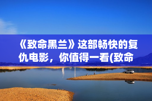 《致命黑兰》这部畅快的复仇电影，你值得一看(致命黑兰还叫什么名)