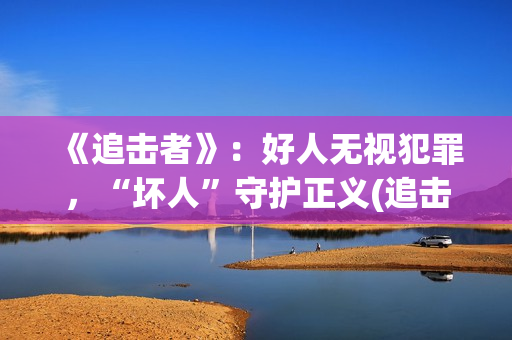 《追击者》：好人无视犯罪，“坏人”守护正义(追击者cut)