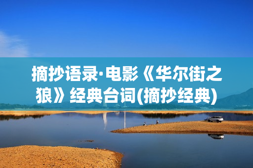 摘抄语录·电影《华尔街之狼》经典台词(摘抄经典)