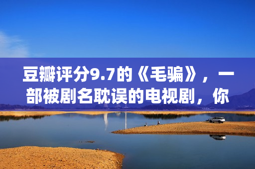 豆瓣评分9.7的《毛骗》，一部被剧名耽误的电视剧，你看过没？(豆瓣评分9.0以上的)