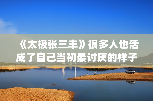 《太极张三丰》很多人也活成了自己当初最讨厌的样子(《太极张三丰》随缘歌词)