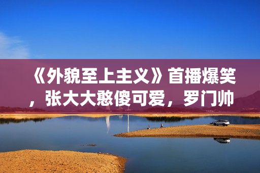 《外貌至上主义》首播爆笑，张大大憨傻可爱，罗门帅气担当(外貌至上主义小说在线阅读)