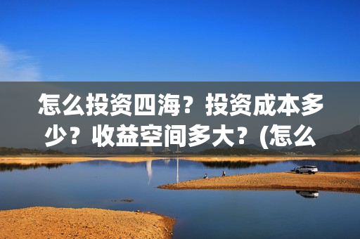 怎么投资四海？投资成本多少？收益空间多大？(怎么投资四海集团公司)