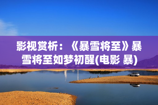 影视赏析：《暴雪将至》暴雪将至如梦初醒(电影 暴)