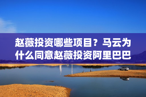 赵薇投资哪些项目？马云为什么同意赵薇投资阿里巴巴(赵薇投资赚了多少钱)