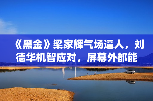 《黑金》梁家辉气场逼人，刘德华机智应对，屏幕外都能感觉到寒气(《黑金》梁家辉做旗袍)