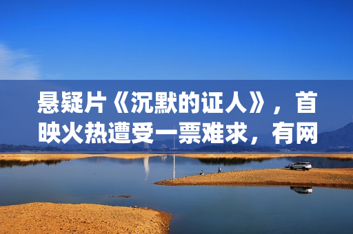 悬疑片《沉默的证人》，首映火热遭受一票难求，有网友质疑是炒作(沉默的门)