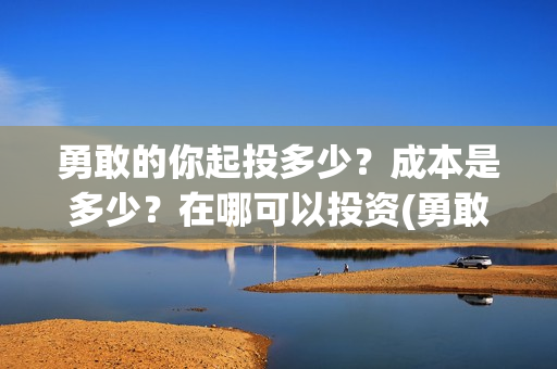 勇敢的你起投多少？成本是多少？在哪可以投资(勇敢的你值不值得投资)