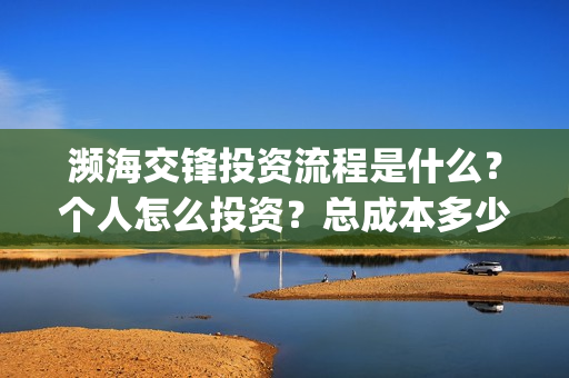 濒海交锋投资流程是什么？个人怎么投资？总成本多少？(濒海交锋能投吗)