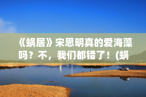 《蜗居》宋思明真的爱海藻吗？不，我们都错了！(蜗居宋思明最后出车祸时说了些什么)