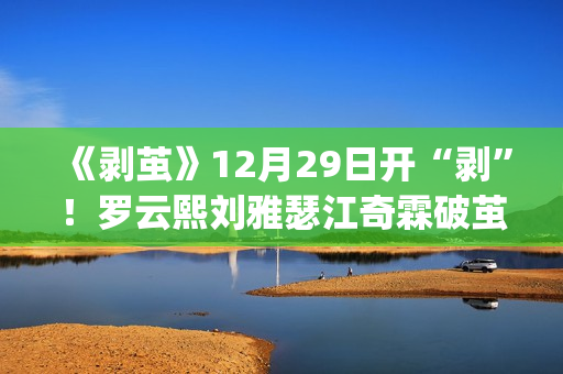 《剥茧》12月29日开“剥”！罗云熙刘雅瑟江奇霖破茧缉凶(剥茧电视剧)