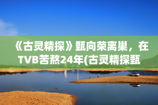 《古灵精探》甄向荣离巢，在TVB苦熬24年(古灵精探甄向荣小说)