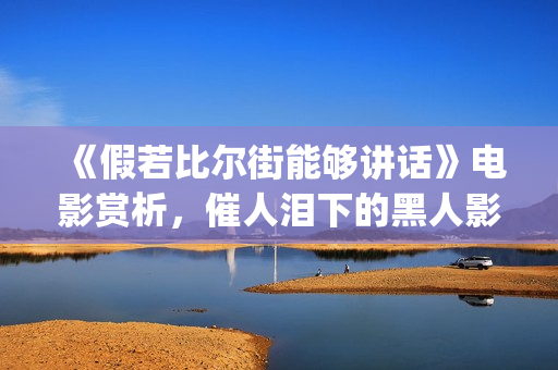 《假若比尔街能够讲话》电影赏析，催人泪下的黑人影片(假如比尔街能够说话)