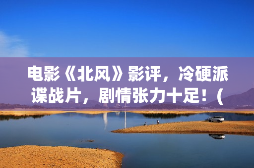 电影《北风》影评，冷硬派谍战片，剧情张力十足！(北风 电影)